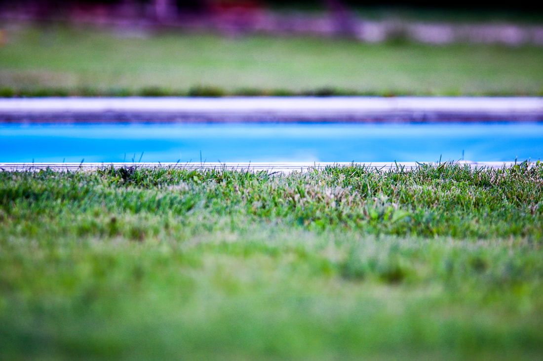 Picture of a pool from a low angle, showing the grass on its side